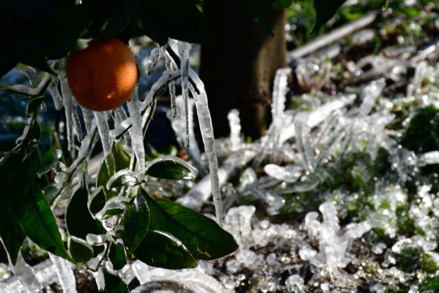 Υπό το μηδέν και ισχυρός παγετός στη Βόρεια Ελλάδα