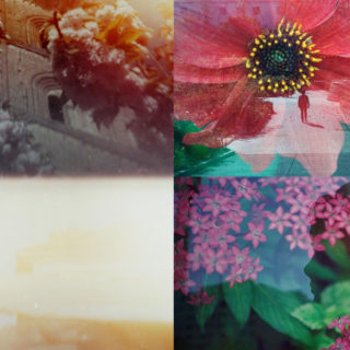 Ο συναρπαστικός κόσμος του ληγμένου φιλμ μιας αναλογικής κάμερας