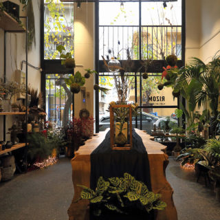 Στο Rizom αντιμετωπίζουν τα φυτά σαν έργα τέχνης που αναπνέουν