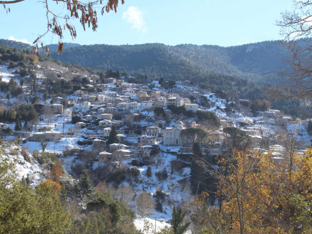 Δημιουργικός Ιανουάριος στη Βαμβακού Λακωνίας