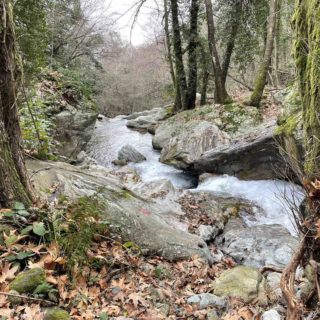 Η χειμωνιάτικη φύση του Πηλίου μέσα από 30 φωτογραφίες