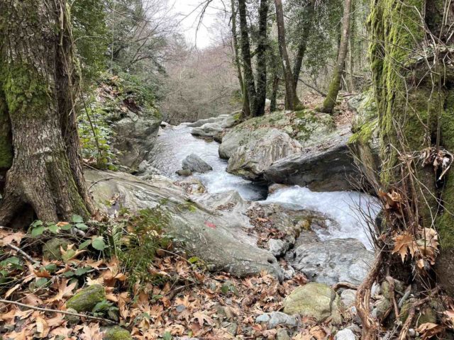 Η χειμωνιάτικη φύση του Πηλίου μέσα από 30 φωτογραφίες