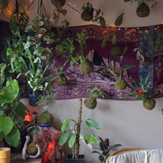 Kokedama: Οι ιαπωνικοί «κρεμαστοί κήποι», όπου τα φυτά δεν χρειάζονται γλάστρες