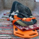 Εικόνες ντροπής: Μετέφεραν ασθενή στους Παξούς σε καρότσα φορτηγού επειδή ήταν χαλασμένο το ασθενοφόρο