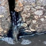 Βυρσοδεψεία λειτουργούσαν παρότι είχαν σφραγιστεί συνεχίζοντας να ρυπαίνουν το περιβάλλον