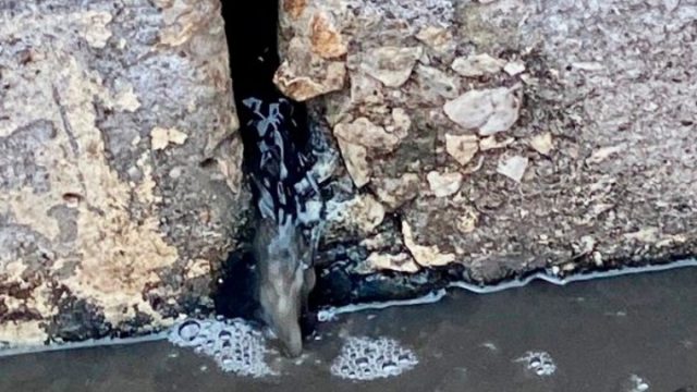 Βυρσοδεψεία λειτουργούσαν παρότι είχαν σφραγιστεί συνεχίζοντας να ρυπαίνουν το περιβάλλον