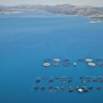 Ινστιτούτο Αρχιπέλαγος: Ραγδαία Επέκταση των Ιχθυοκαλλιεργειών στην Αιτωλοακαρνανία – Ανησυχία Φορέων και Πολιτών