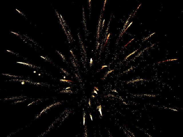 Αυτή την Ανάσταση, η δική μας ασυνειδησία κόστισε τη ζωή σε μία σκυλίτσα