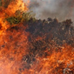 Φωτιά σε χαμηλή βλάστηση στο Καπελέτο Ηλείας