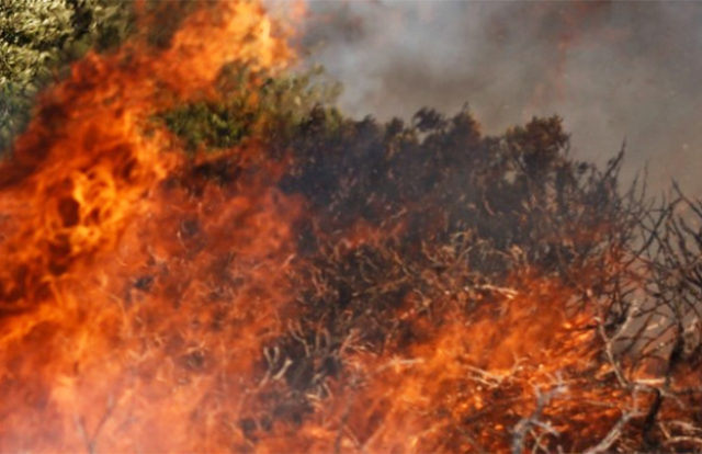 Φωτιά σε χαμηλή βλάστηση στο Καπελέτο Ηλείας