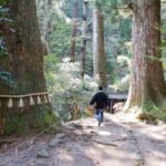 Έχουν βρεθεί στη Γη 30 δέντρα ηλικίας άνω των 2.000 ετών