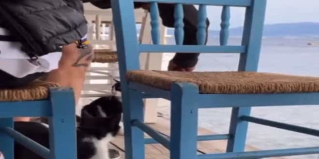 Αιδηψός: Για πλημμέλημα παραπέμπεται ο 30χρονος