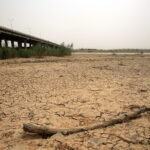 Η ημερήσια παγκόσμια θερμοκρασία καταρρίπτει ρεκόρ για δεύτερη συνεχή ημέρα