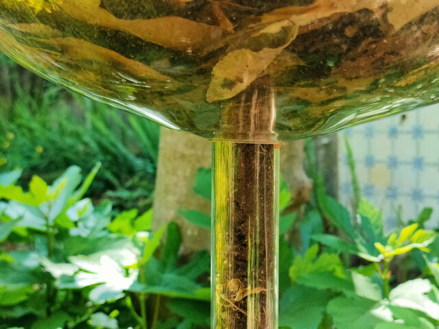 Sonic Stories: Ακούστε τον κόσμο μέσα από ήχους