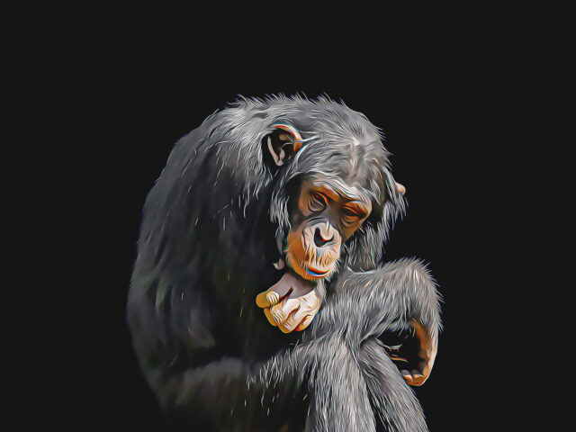 Ο Μπαζού σκοτώθηκε διεκδικώντας την ελευθερία του