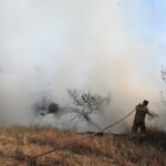 Φωτιά στον Έβρο: Το πύρινο μέτωπο στο Εθνικό Πάρκο της Δαδιάς [ΒΙΝΤΕΟ]