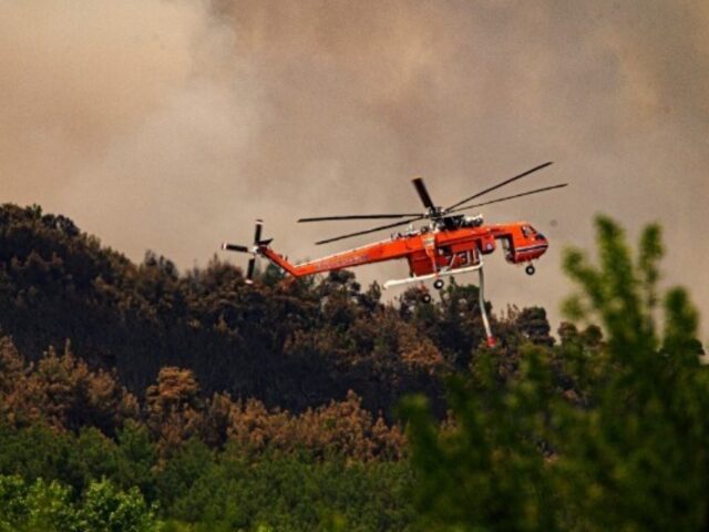 Αλεξανδρούπολη: Νέες αντιπυρικές ζώνες στο νοτιοδυτικό τμήμα του Εθνικού Πάρκου