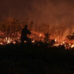 Επείγουσα εισαγγελική έρευνα για τις καταστροφικές φωτιές στην Αττική