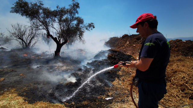 Φωτιά στο Κορωπί καίει χαμηλή βλάστηση