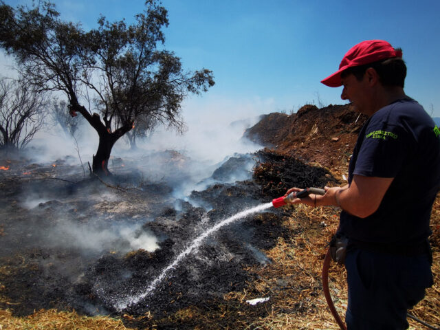 Φωτιά στο Κορωπί καίει χαμηλή βλάστηση