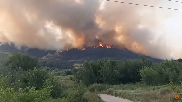Φωτιά στον Έβρο: Μάχη για να σωθεί το δάσος της Δαδιάς