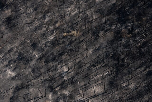 Πυρκαγιές: Πόσα στρέμματα κάηκαν τον Ιούλιο