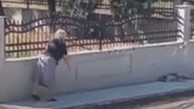 Ηλικιωμένη πέταξε μπαστούνι σε αδέσποτο σκύλο που κοιμόταν [BINTEO]
