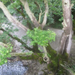 Η βροχή έσβησε τη φωτιά στη Βάλια Κάλντα μετά από 16 μέρες