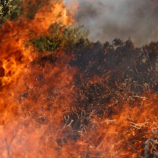 Σαμοθράκη: Φωτιά σε δύσβατο σημείο