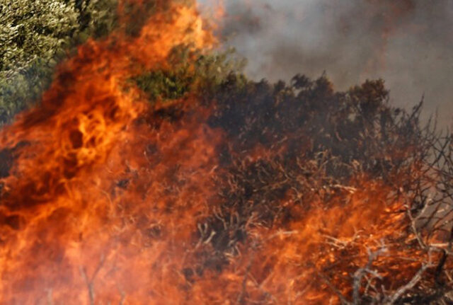 Σαμοθράκη: Φωτιά σε δύσβατο σημείο