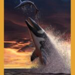 Μαρόκο: Ανακαλύφθηκε το απολίθωμα του Θαλασσοτιτάνα, ενός γιγάντιου θαλάσσιου τέρατος