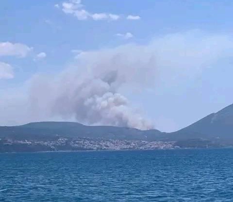 Μεγάλη φωτιά στην Μεσσηνία