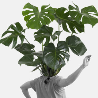 Η ομάδα σύγχρονου χορού PLAN B εμπνέεται από τον χώρο και μας φέρνει πιο κοντά