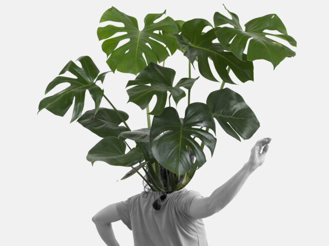 Η ομάδα σύγχρονου χορού PLAN B εμπνέεται από τον χώρο και μας φέρνει πιο κοντά