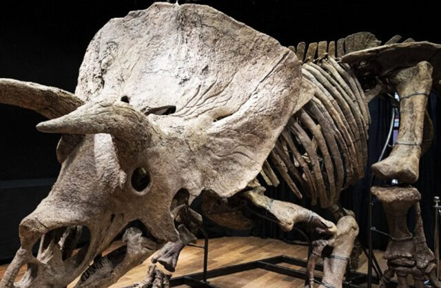 Σκελετός δεινοσαύρου πωλείται σε δημοπρασία στο Παρίσι