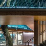 The Tree House: Ένα ξύλινο περίπτερο στο Λονδίνο, φτιαγμένο για την κοινότητα, γύρω από τον πλάτανο