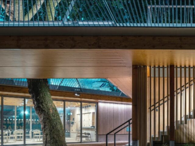 The Tree House: Ένα ξύλινο περίπτερο στο Λονδίνο, φτιαγμένο για την κοινότητα, γύρω από τον πλάτανο