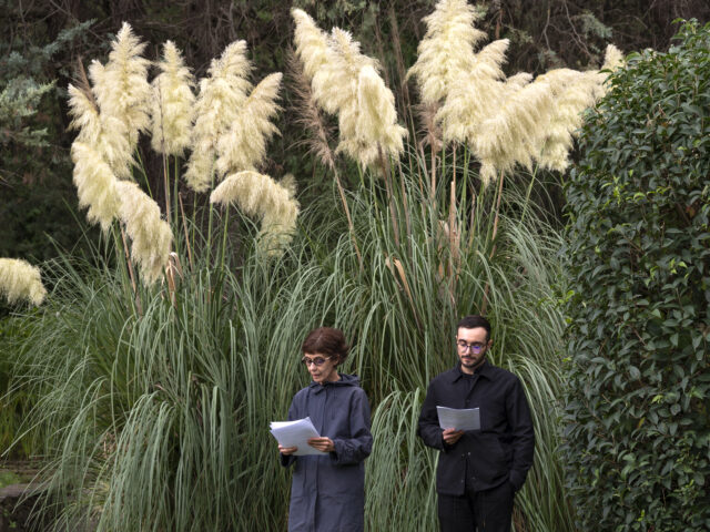 Sheltered Gardens: Στον Βοτανικό Κήπο η φεμινιστική τέχνη άνθισε και η φύση κουηροποιήθηκε