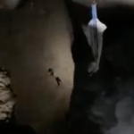 «Κατεβάσαμε ένα σάκο και σώσαμε 80 άτομα»: Συγκλονίζει ο χειριστής του γερανού στα Κύθηρα