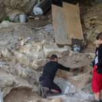 Γερμανία: Γενετική μελέτη αποκαλύπτει την κοινωνική οργάνωση των Νεάντερταλ