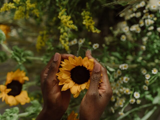 Τα ηλιοτρόπια του Bαν Γκογκ «πονάνε» πιο πολύ απ’ τον πλανήτη, αλήθεια;