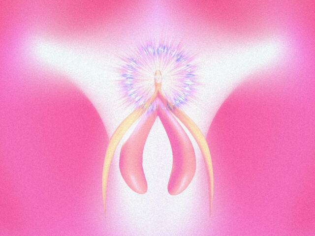 Ο μισός πληθυσμός της Γης έχει κλειτορίδα. Γιατί όμως οι γιατροί την αγνοούν;