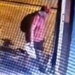 Ταυτοποιήθηκε ο άντρας που ποδοπάτησε και σκότωσε γατάκι στη Θεσσαλονίκη