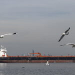 Επίθεση με drone σε τάνκερ ισραηλινής ιδιοκτησίας ανοιχτά του Ομάν