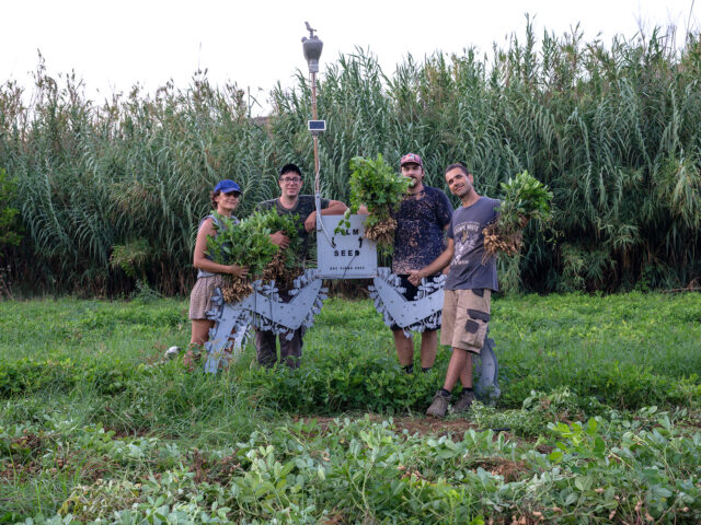 Λάχανα, πατάτες και άλλα δαιμόνια στο Film Seed Festival by Hypercomf στην Τήνο