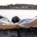 Βραβείο Τέχνης 2023 Ιδρύματος Γ. & Α. Μαμιδάκη: Ανοικτό κάλεσμα για καλλιτέχνες από την Ελλάδα και το εξωτερικό