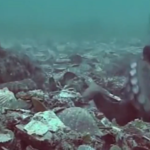 Χταπόδια «συνελήφθησαν» να πετούν το ένα στο άλλο αντικείμενα [ΒΙΝΤΕΟ]