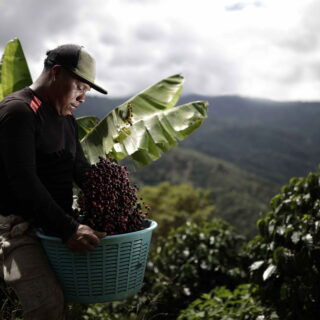 Πρωινός καφές από τα υψίπεδα της Κόστα Ρίκα
