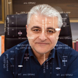 Καθηγητής Νεκτάριος Ταβερναράκης: Ανακαλύψαμε μηχανισμό που ρυθμίζει τη γήρανση