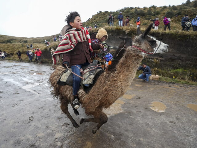 Τα παιδιά που τρέχουν με τα λάμα προς τα σύννεφα
